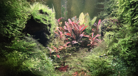 Valley of Bucce - février 2025