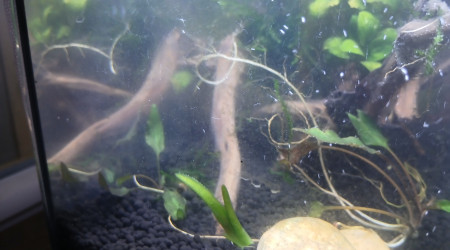 Ajout de roches non calcaire