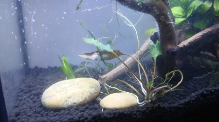 Ajout de roches non calcaire