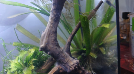 Ajout de roches non calcaire