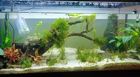 évolution avec sable et CO2