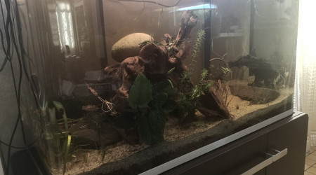 aquarium Osaka 220L Patchwork