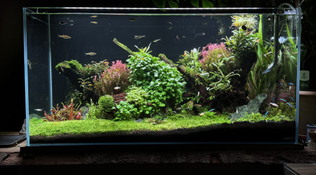 Quelques changements…