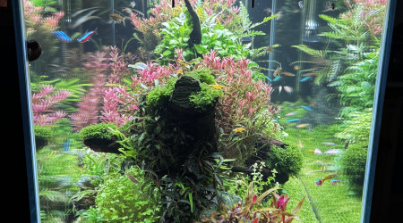 Quelques changements…