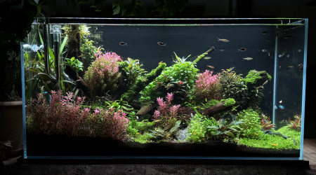 Quelques changements…