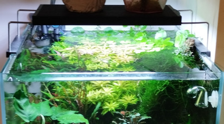aquarium Aquarium Blau 64 litres