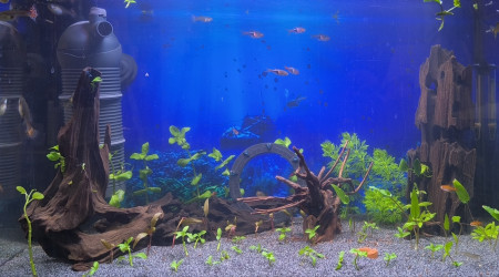 1ere photo: Presque terminé !