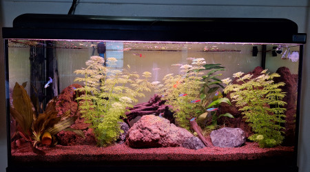 aquarium Aquarium 90L