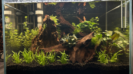 aquarium Aqua 01