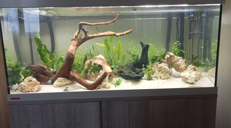 aquarium Eheim vivaline 180