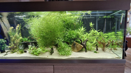 aquarium Proxima 325