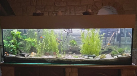 aquarium Aquarium 700 litres