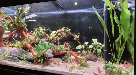 aquarium MON GROS