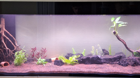 aquarium Aquarium 500L