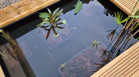 aquarium Bassin