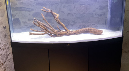 Mise en eau,  en attente des plantes et des poissons