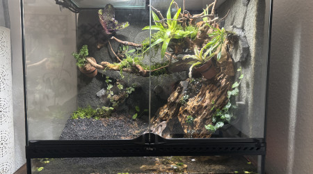 aquarium Palu en travaux tout comme le nom