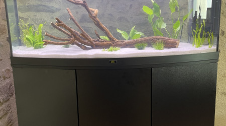 aquarium Juwel visio 260L