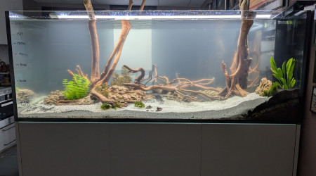 aquarium RedSea 650