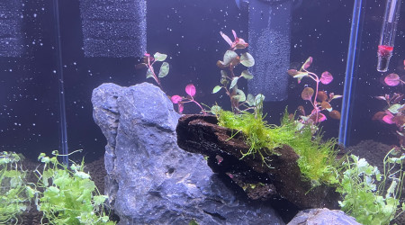 aquarium Mon Nano 30
