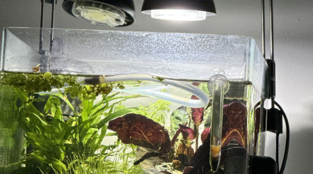 aquarium Nano