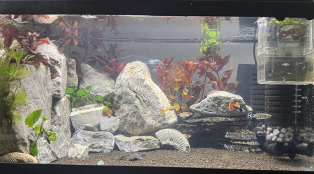 aquarium AQUATLANTIS Advance LED