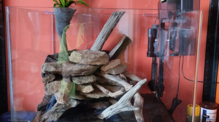 aquarium Le cube