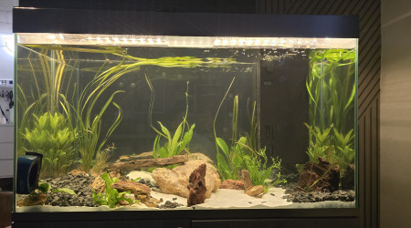 aquarium Amazonia
