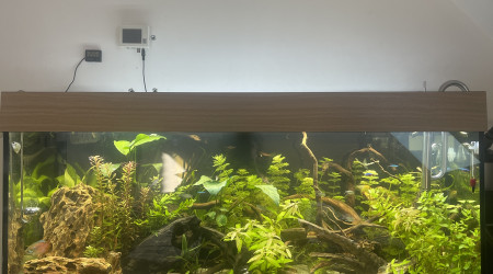 aquarium Aquarium 180 L