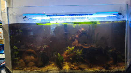 aquarium Mon aquarium