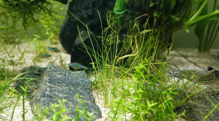 un peu de lumière bleue...