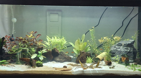 aquarium 80L