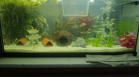 aquarium Aquarium 100litre