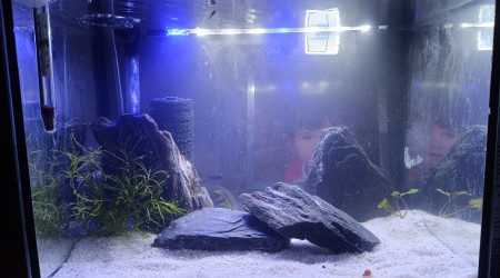 aquarium Aquarium 15litre