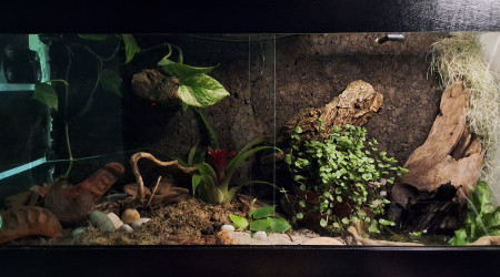 aquarium Jean-pince