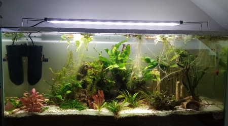 aquarium Aquarium feel good 76L