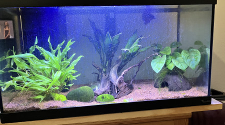 aquarium 60L Led