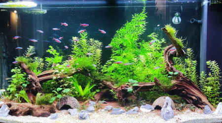 aquarium Juwel Vision 180