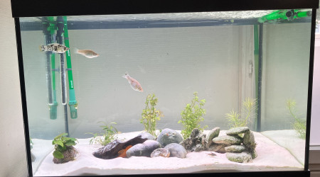 aquarium 220L