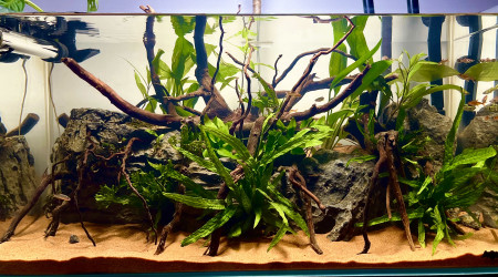 aquarium Premier bac