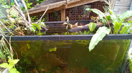 aquarium Poubellarium