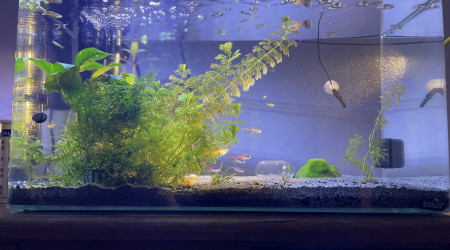 aquarium Batiment B