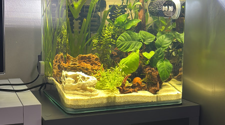 aquarium Nano bac Dennerle 30L