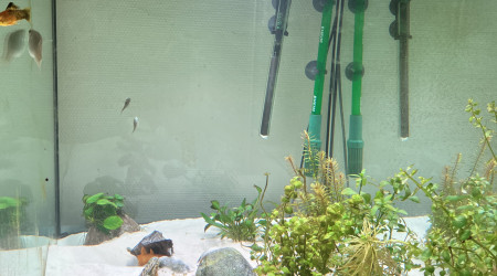aquarium 220L