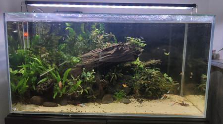aquarium 112l