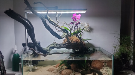 aquarium Shallow