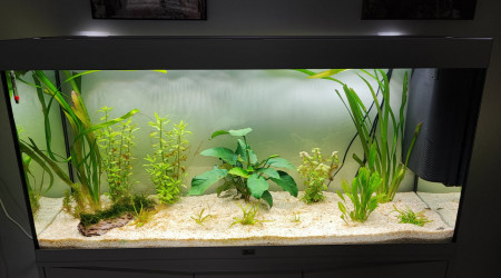 aquarium Aurèle