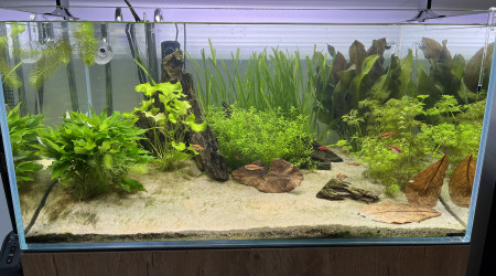 aquarium Aquael UltraScape 90