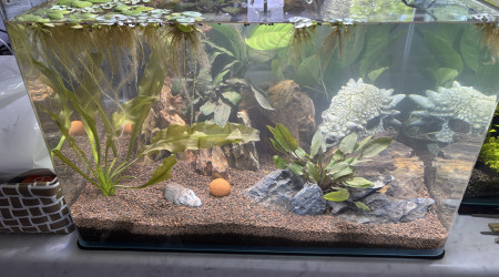 aquarium Nano bac Dennerle 35L