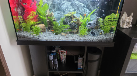 aquarium Juwel